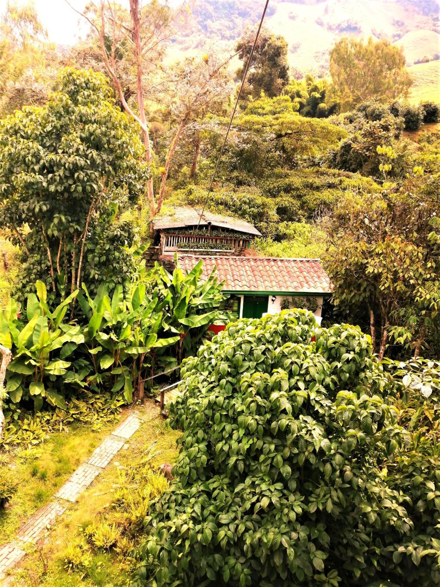 Kantarrana Casa De Campo Jardín Exteriör bild